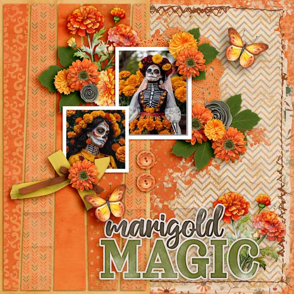 marigolds-aimee-harrison.jpg