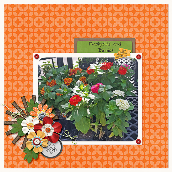Marigolds and Zinnias