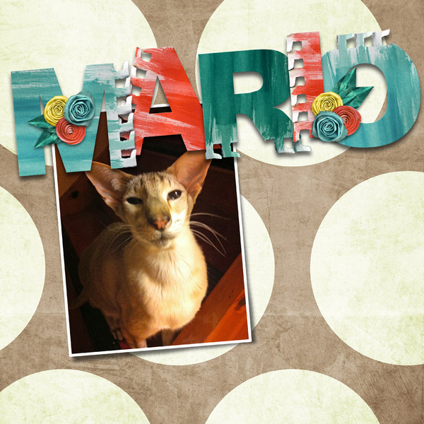 Mario