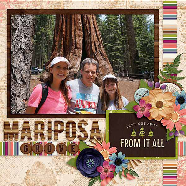 Mariposa Grove