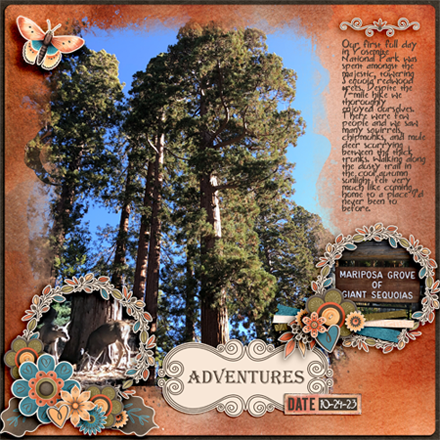 Mariposa Grove