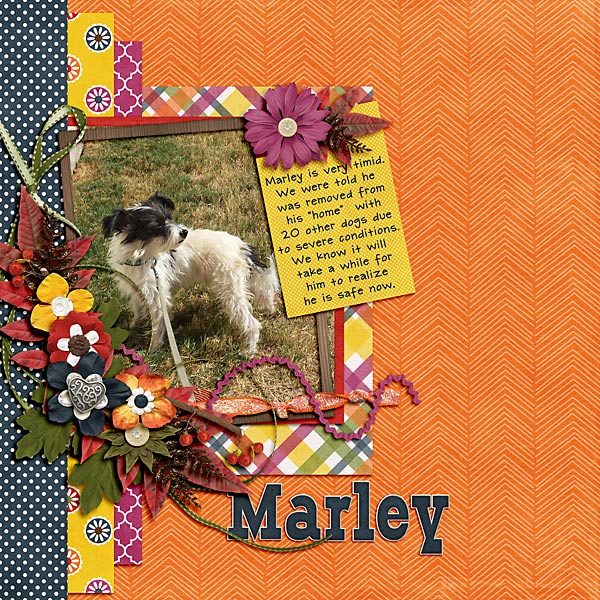 Marley