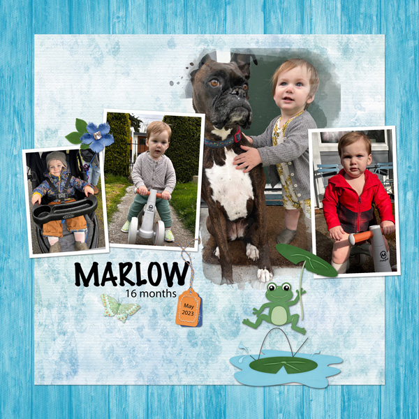 Marlow Riding