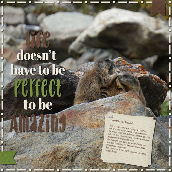 marmots