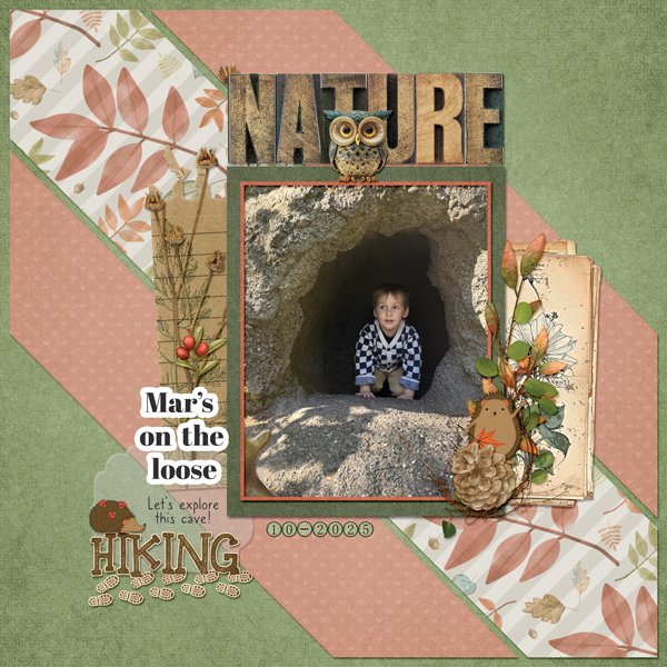 Mars in Nature
