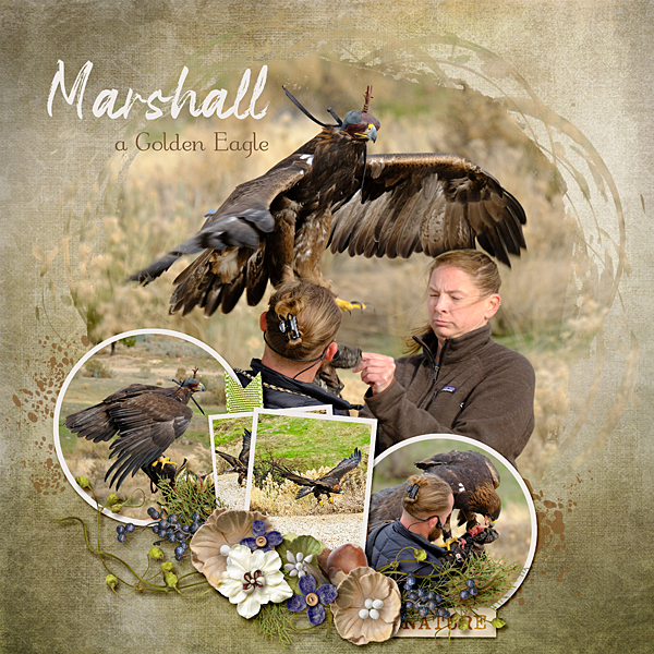 Marshall