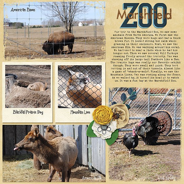 Marshfield Zoo