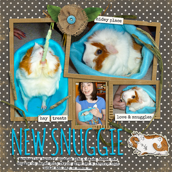 Marshmallow the Guinea Pig's Snuggy 2013