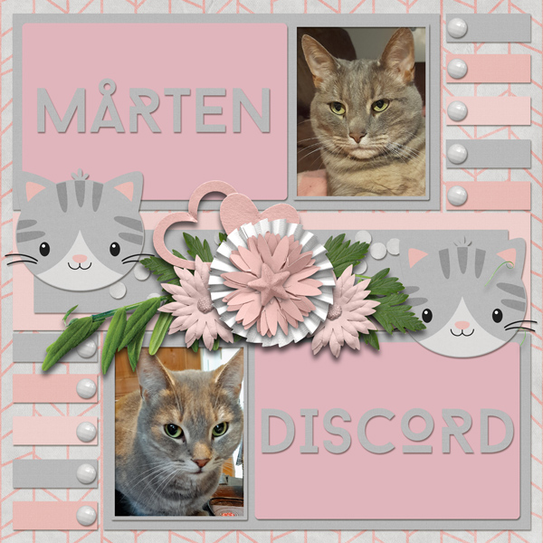 Marten Discord