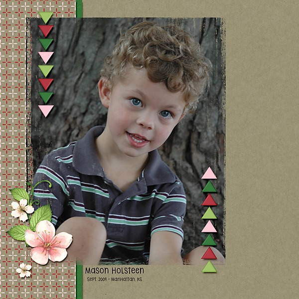 Mason