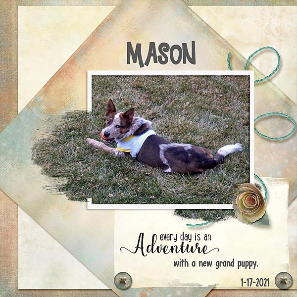 Mason