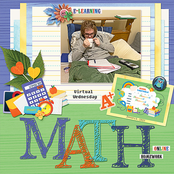 Math Online Homework