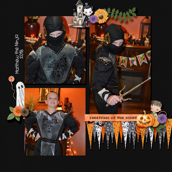Matthew the Ninja