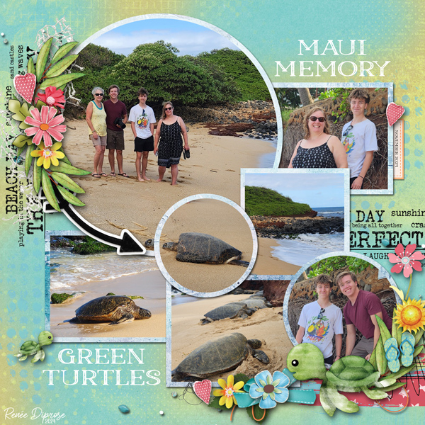 Maui Memory
