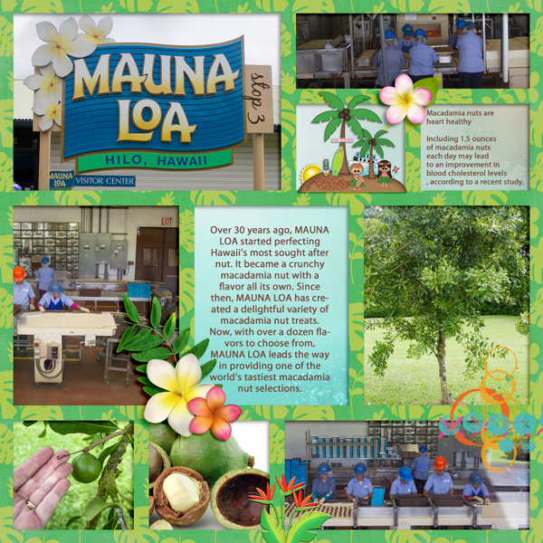 Mauna Loa