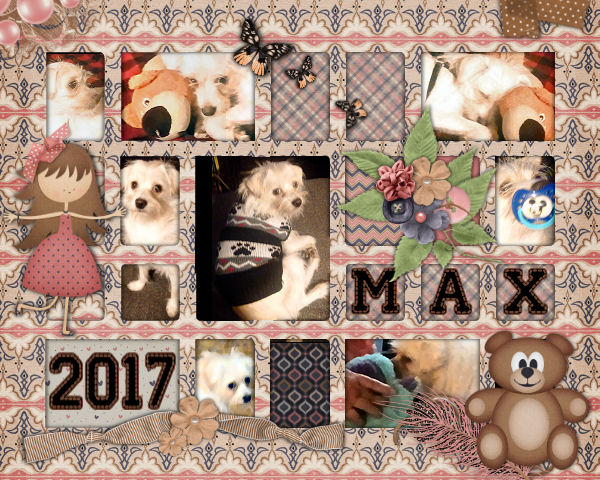 Max 2017