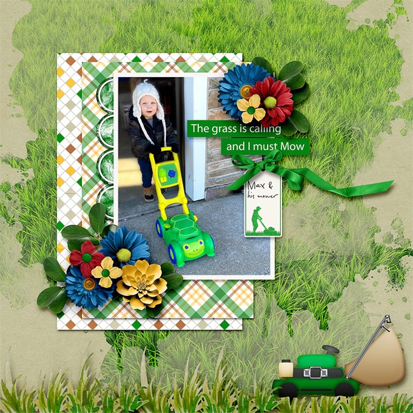 Max and his mower