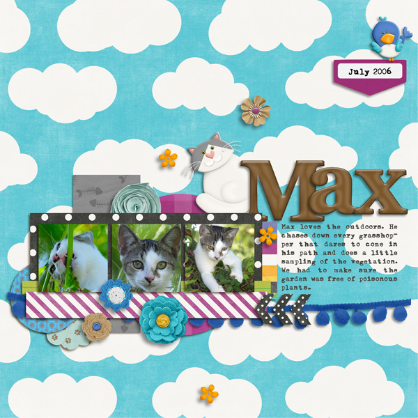 Max the Cat