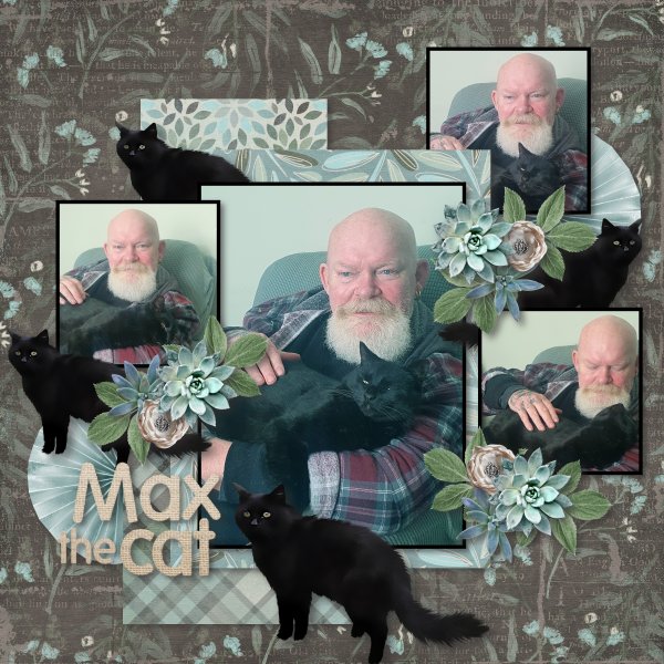 Max the Cat