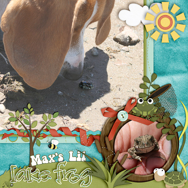 Max's Lil Lake Frog