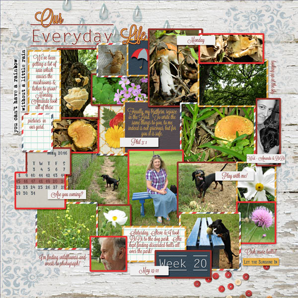 May 15-21 Project Life