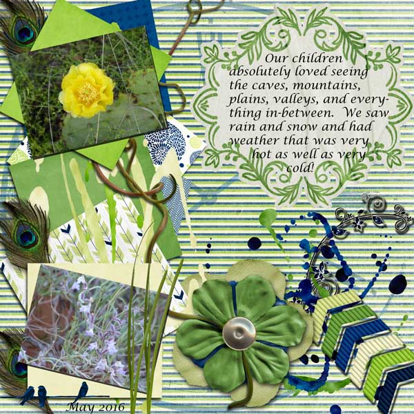 May 2015 Flowers (2)