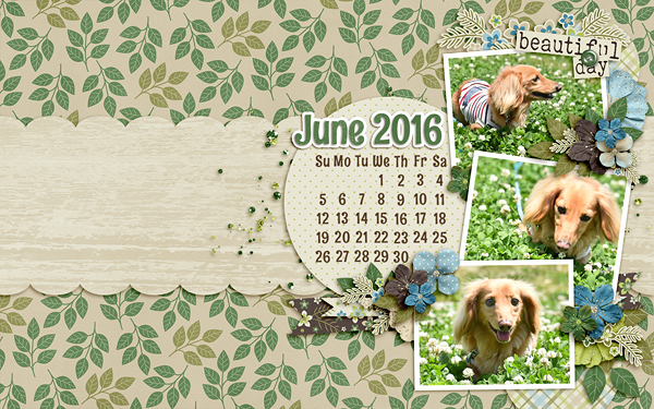 May 2016 Desktop Challenge