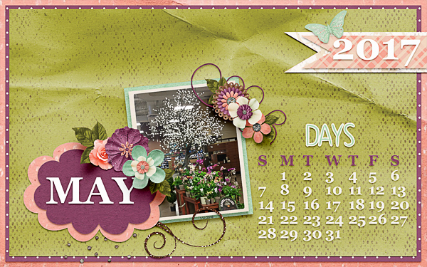 May 2017 Desktop for Annemarie