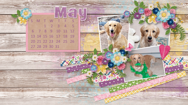 May 2018 Desktop