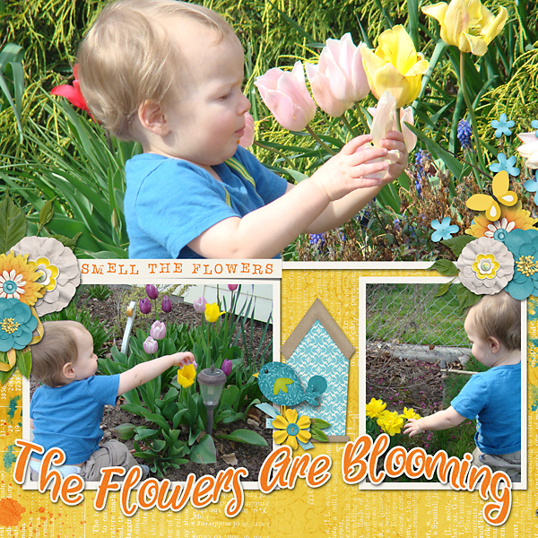 May-2019_web