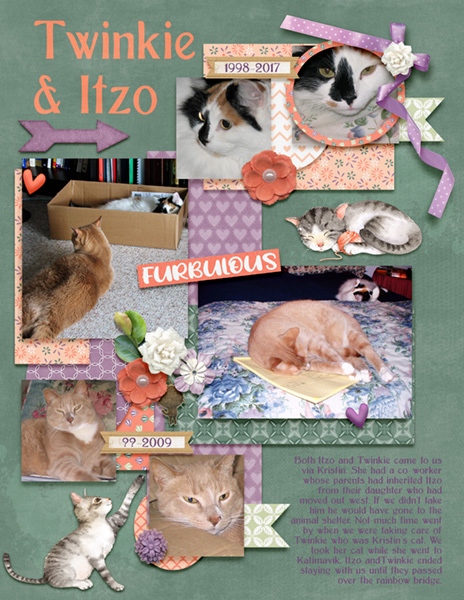May 2020 Buffet Challenge - Twinkie and Itzo