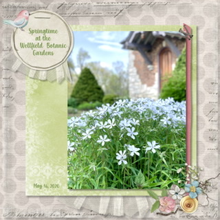 May 2020 Kit Challenge: Spring Flowers