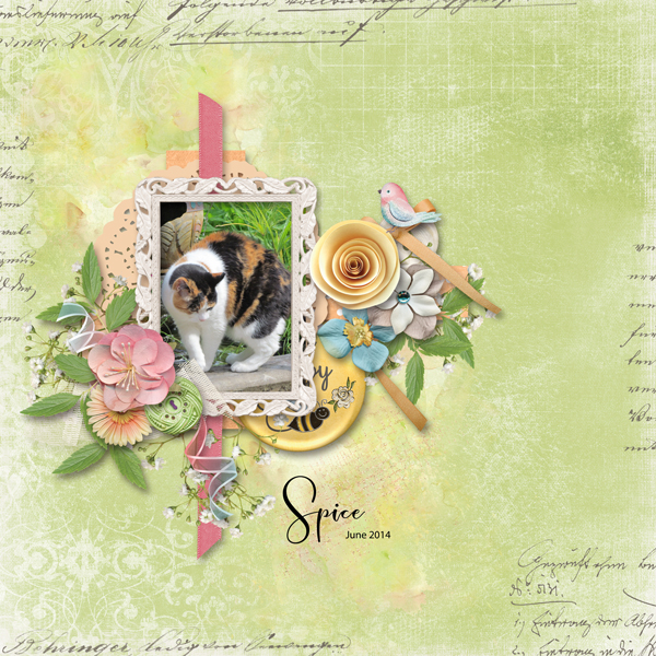 May 2020 Mini Kit Challenge with Alexis Design Studio