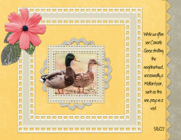May 2021 Mini Kit Challenge