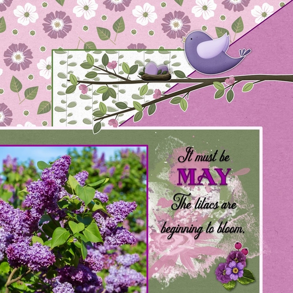 May 2023 Designer Spotlight Challenge