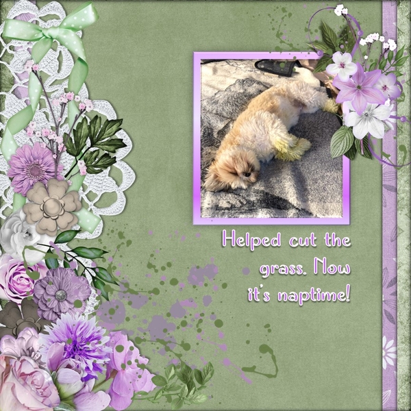 May 2023 Inspiration Challenge