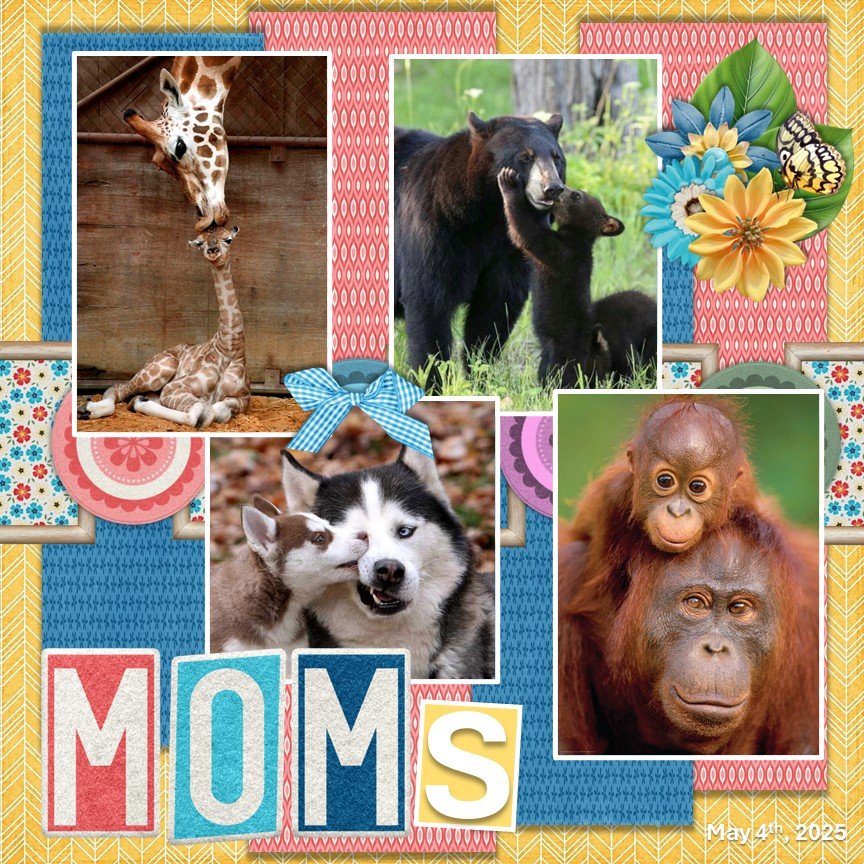 May 2025 #2025 May Mini Kit Challenge.jpg