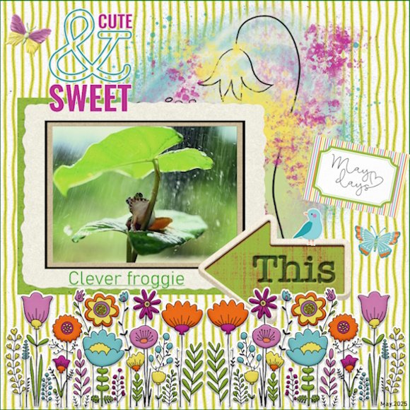 -May.2025-Clever froggie.jpg