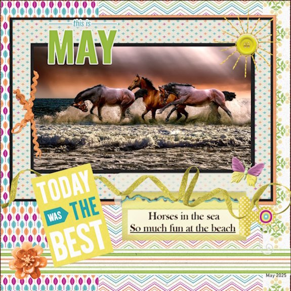 -May.2025-So much fun..jpg