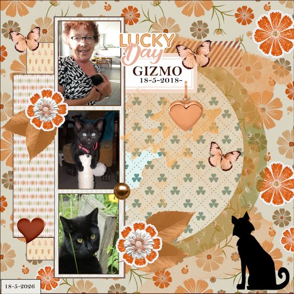 May 2026 Template 2 Challenge -Gizmo 8 years old.jpg