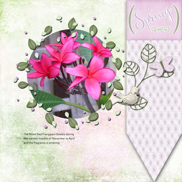 May 21 Created with Rewards Challenge