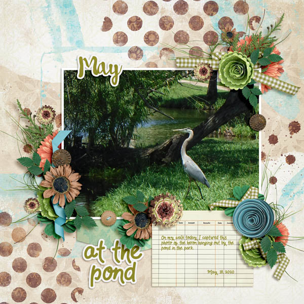May at the Pond