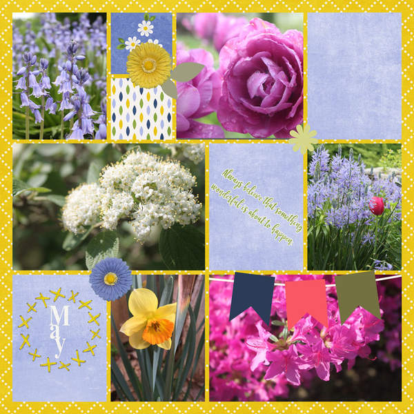 May Blooms Bright