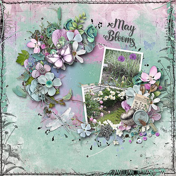 May Blooms in 2017