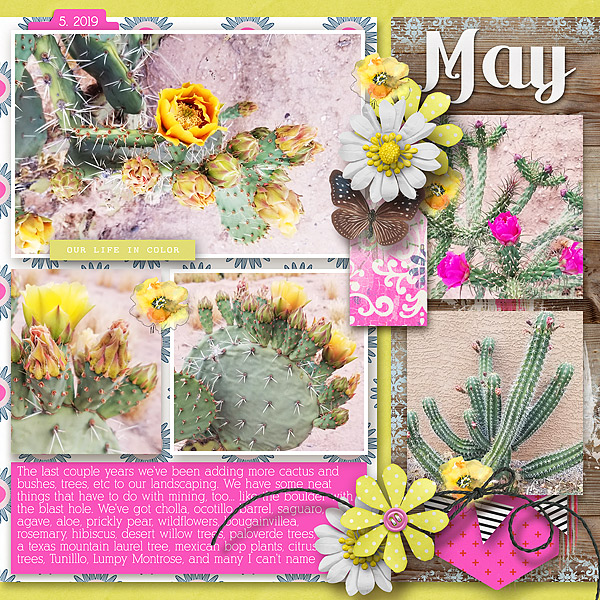 May Blooms right
