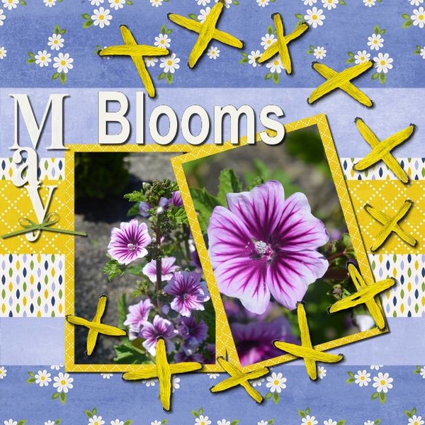 May Blooms