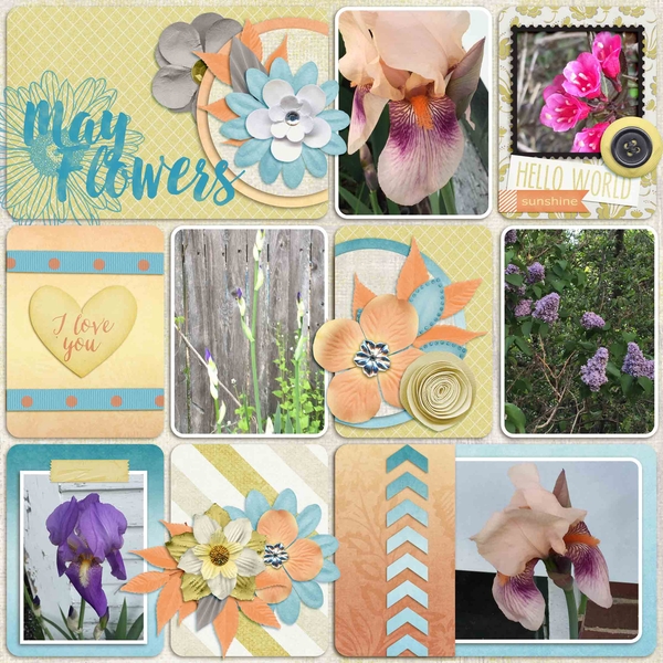 May Brush Challenge