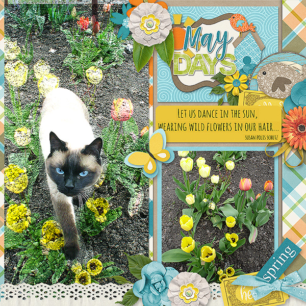 May Days