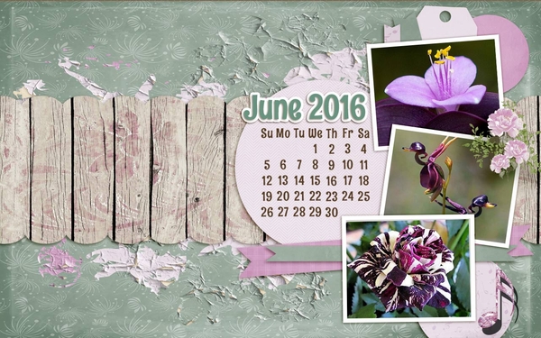 May desktop chal