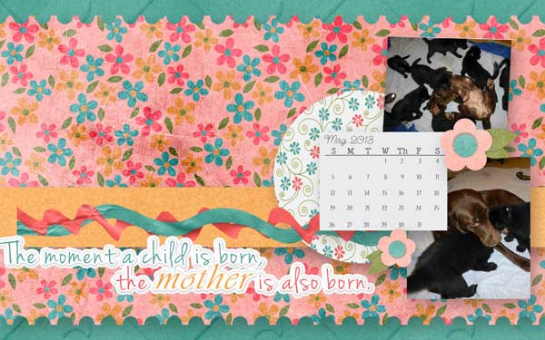 may-desktop-TMS_Desktop